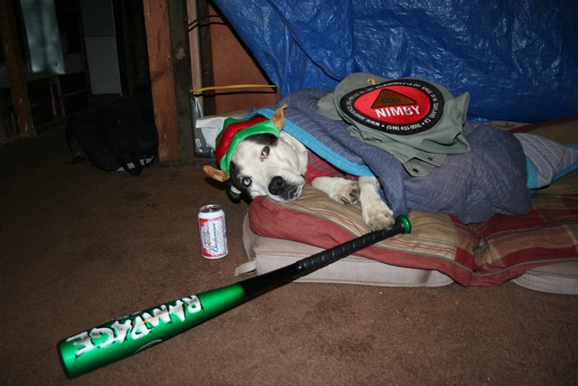 nimby-puppy.jpg